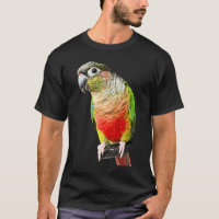 Conure Parrot Bird Green cheek Love for birds