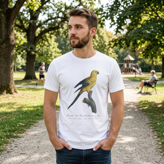 T-shirt Conure soleil Aratinga solstitialis (Guarouba dans sons jeune age / Sun parakeet. Men Basic White T-Shirt)