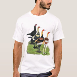 T-shirt Coq de jeu moderne