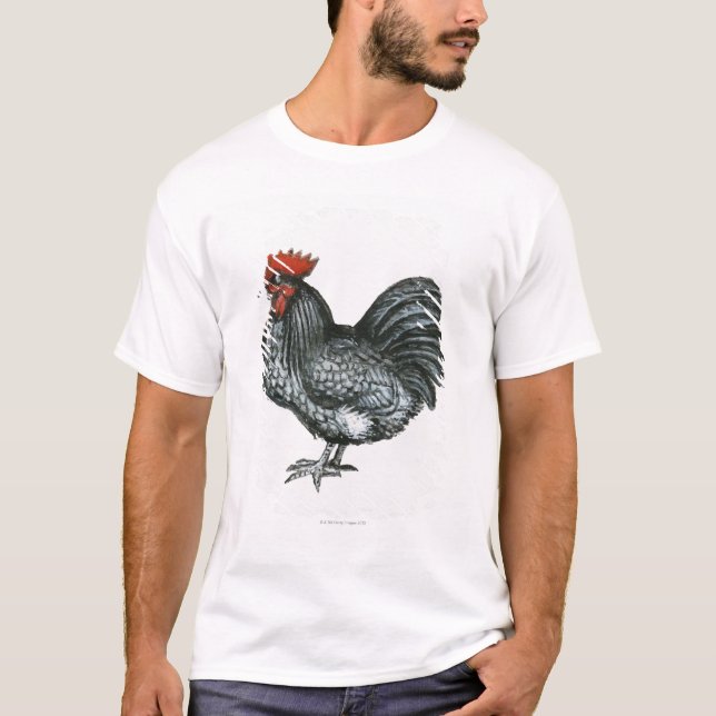 T-shirt Coq nain bleu d'Orpington (Devant)