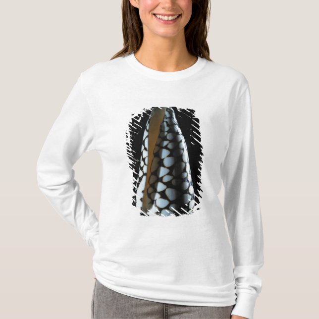 T-shirt Coquille 2 de cône (Devant)