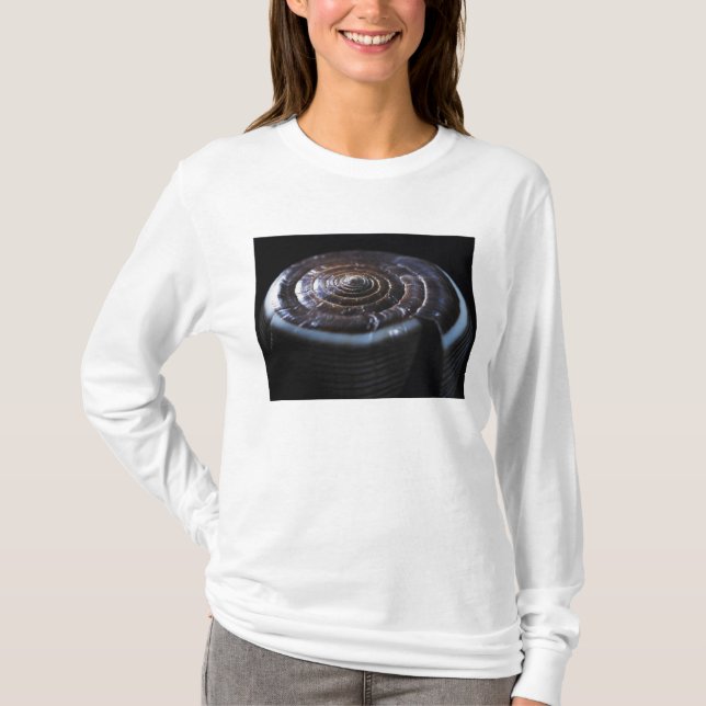 T-shirt Coquille de cône (Devant)