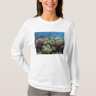 T-shirt Corail, récif d'Agincourt, Grande barrière de cora