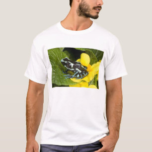 T-shirt Costa Rica, péninsule d'Osa
