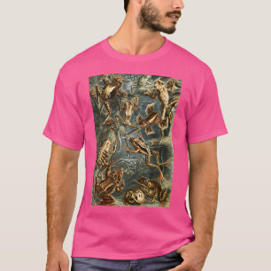T-shirt Cottagecore Dark Academia Grenouille esthétique Im