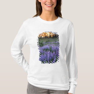 T-shirt Coucher de soleil sur le mont Adams et une prairie