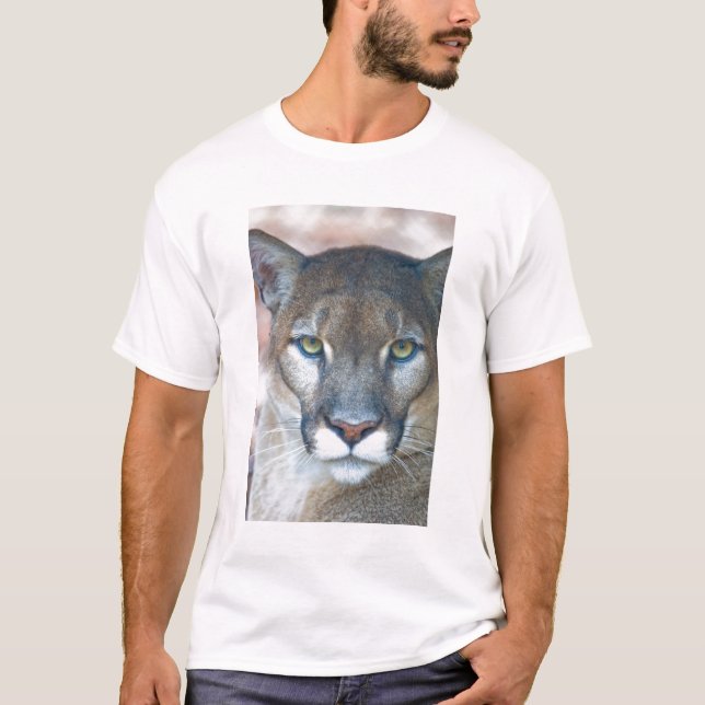T-shirt Cougar, puma, panthère de Floride, Puma (Devant)