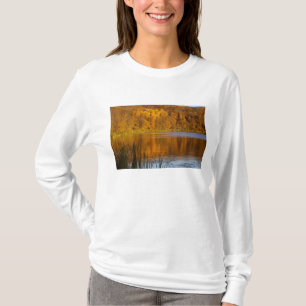 T-shirt Couleurs d'automne dans le parc d'État Maplewood p