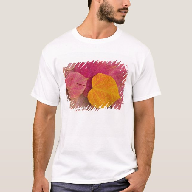 T-shirt Couleurs d'automne sur un Forest Pansy Redbud aux  (Devant)