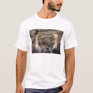 T-shirt Couple d'albatros à onde (Phoebastria irrorata)