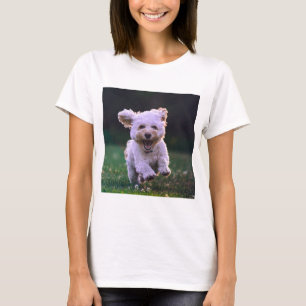 T-shirt Courir un chien blanc de caniche mignon chien