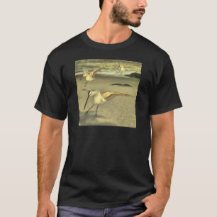 T-shirt Courlis cendré eurasien