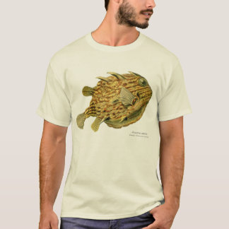 T-shirt Cowfish rayé