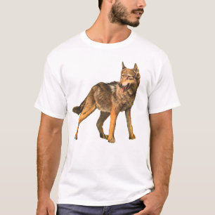 T-shirt coyote