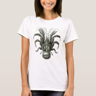 T-shirt Crabe de cocotiers