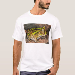 T-shirt Crapaud cornu brésilien, Ceratophrys cornuta, Nati