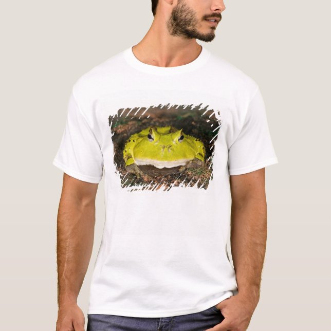 T-shirt Crapaud cornu du Brésil, Ceratophrys cornuta, 2 (Devant)