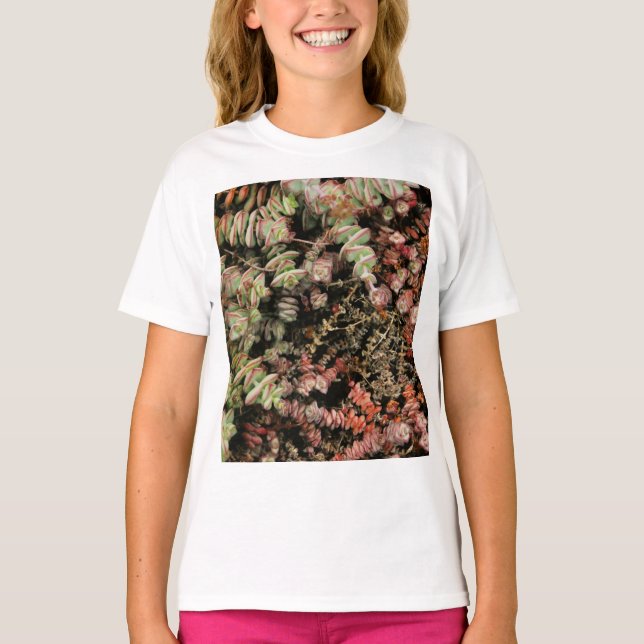 T-shirt Crassula perforata (Devant)