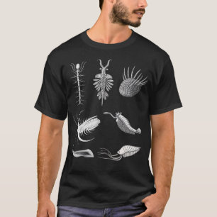 T-shirt Créatures Cambriennes Fossile Paléoart Évolution S
