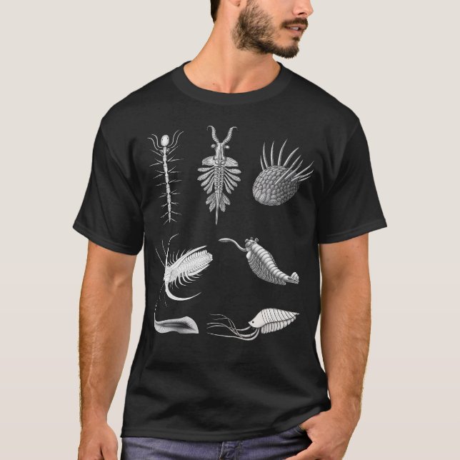 T-shirt Créatures Cambriennes Fossile Paléoart Évolution S (Devant)