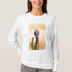 T-shirt Crécerelle américaine, Falco sparverius, Originair