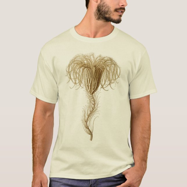 T-shirt Crinoids (Devant)