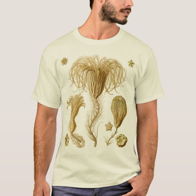 T-shirt Crinoids (Devant)