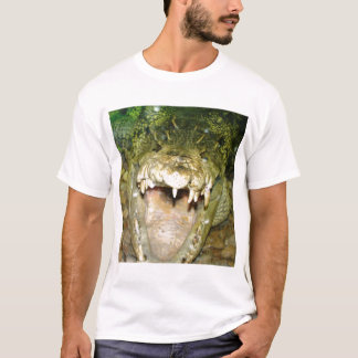 T-shirt Crocodile