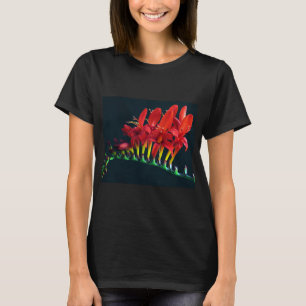 T-shirt Crocosomie Lucifer Montbretia Floral