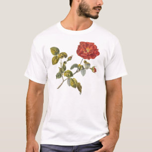 T-shirt Cru rose de belle antiquité rouge de Rosa Gallica