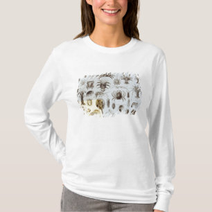 T-shirt Crustacés et arachnides