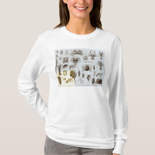 T-shirt Crustacés et arachnides