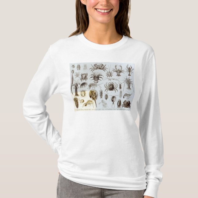 T-shirt Crustacés et arachnides (Devant)