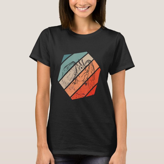 T-shirt Cryptozoologie Mothman Hexa Retro Folklore Cryptid (Devant)