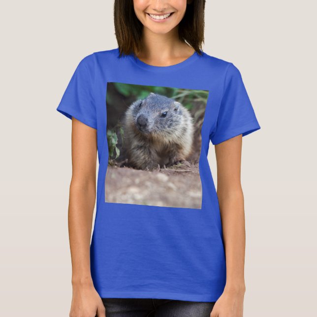 T-shirt Curieux bébé marmotte Tee (Devant)