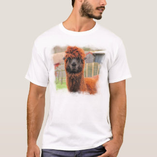 T-shirt ~ curieux T d'alpaga