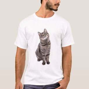 T-shirt Cute tabby Cat