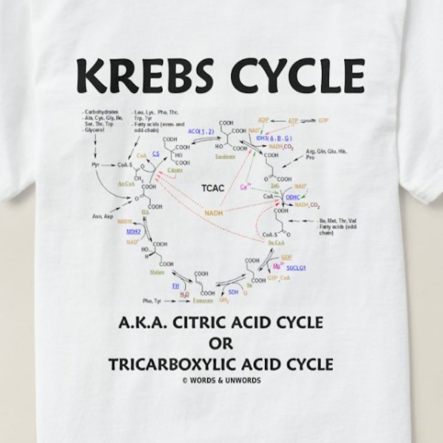 T-shirt Cycle Krebs (Cycle Citrique Acide - Biochimie) (Krebs cycle tee for those who know that it's one of the most important organic cycles for our energy)