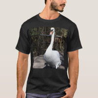 Cygne