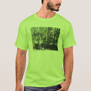 T-shirt Cypress Marécage sur la promenade Natchez Trace