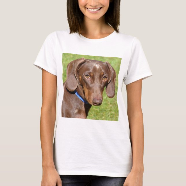 T-shirt Dachshund (Devant)