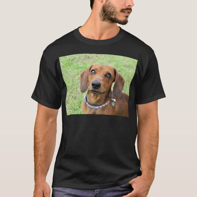 T-shirt Dachshund (Devant)