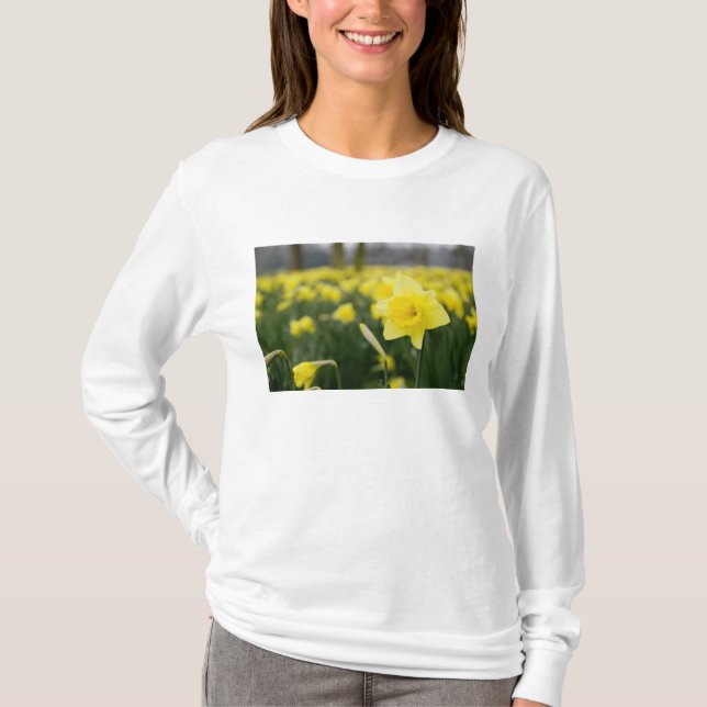 T-shirt Daffodils (RF) (Devant)