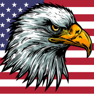 T-shirt d'aigle à chauve patriote