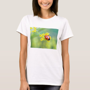 T-shirt dame sur le dessus