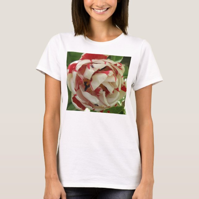 T-shirt dames Tulip rose et blanc (Devant)