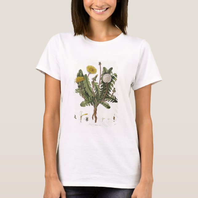 T-shirt Dandelion (gravure couleur) (Devant)