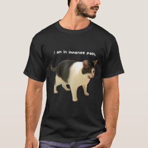 T-shirt Dans drôle suis immense douleur chat mème