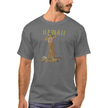Danseur de danse polynésienne d'Hawaï