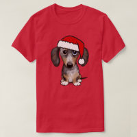 Dappy Dachshund Père Noël Wiener Chien Noël